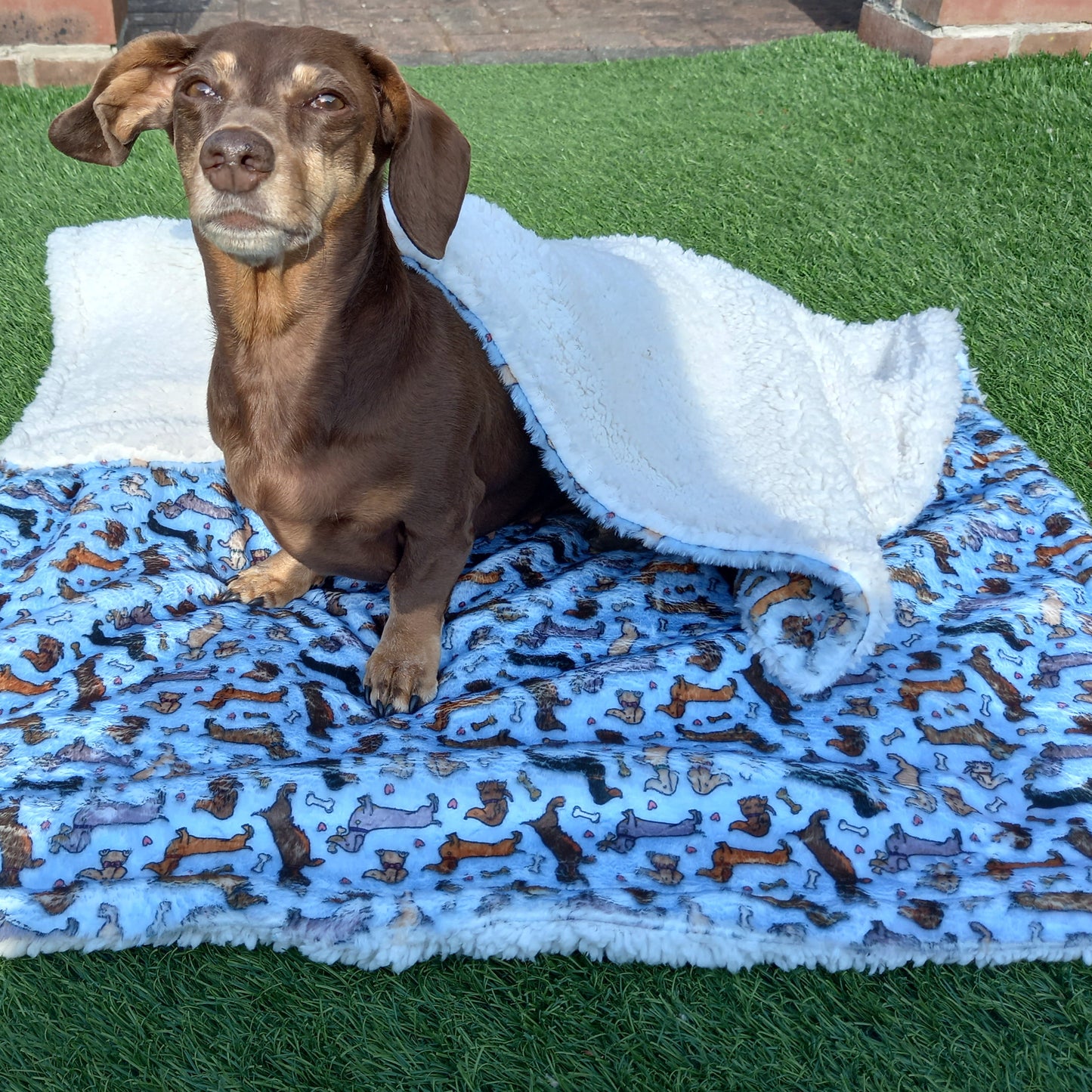 All About The Weens - Dog Blanket
