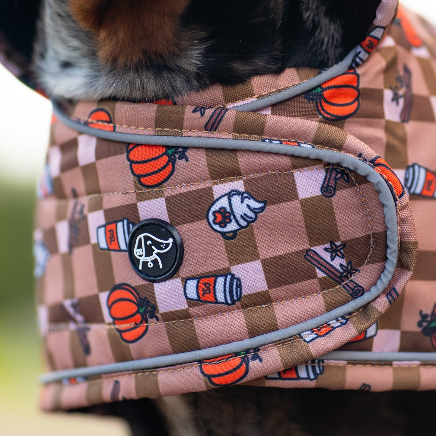 Autumn Dachshund Jacket's