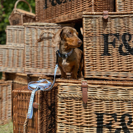 All About The Weens - Accessories