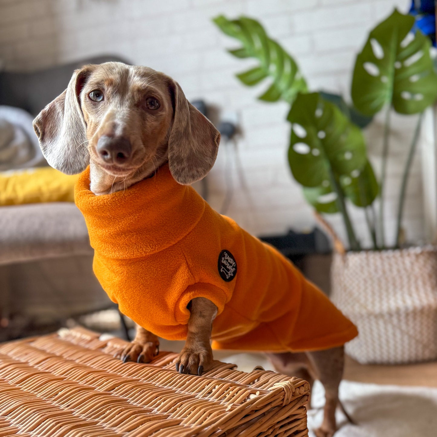 Limited Edition 'Pumpkin' Rollneck Jumper