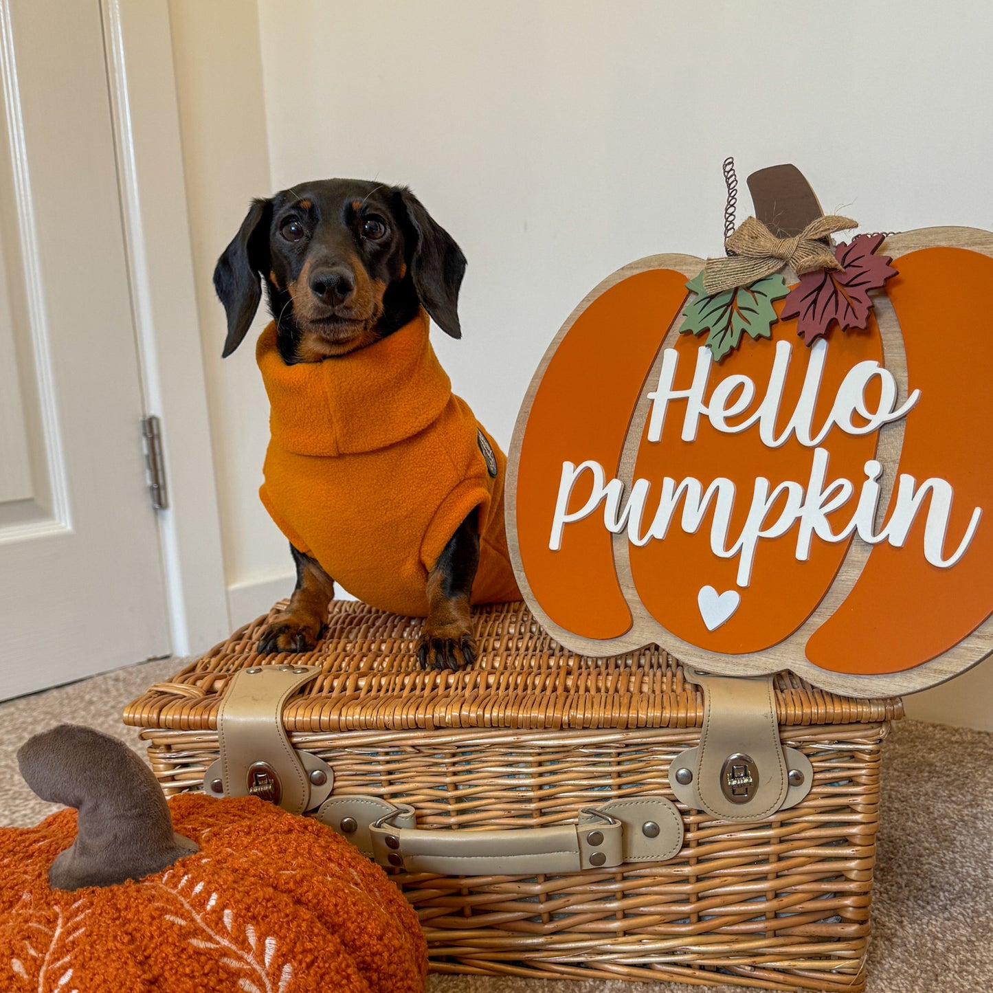 Limited Edition 'Pumpkin' Rollneck Jumper