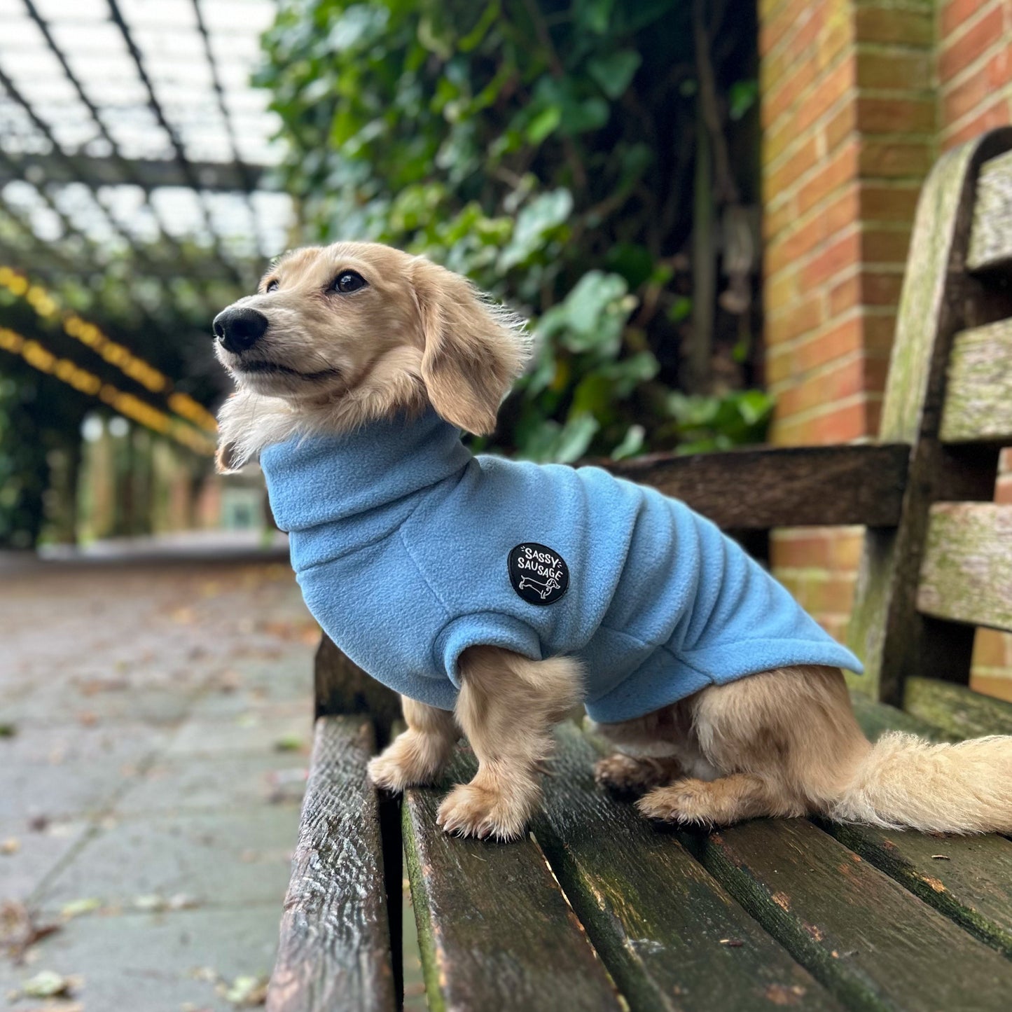 Baby Blue Roll-Neck (READ DESCRIPTION!)