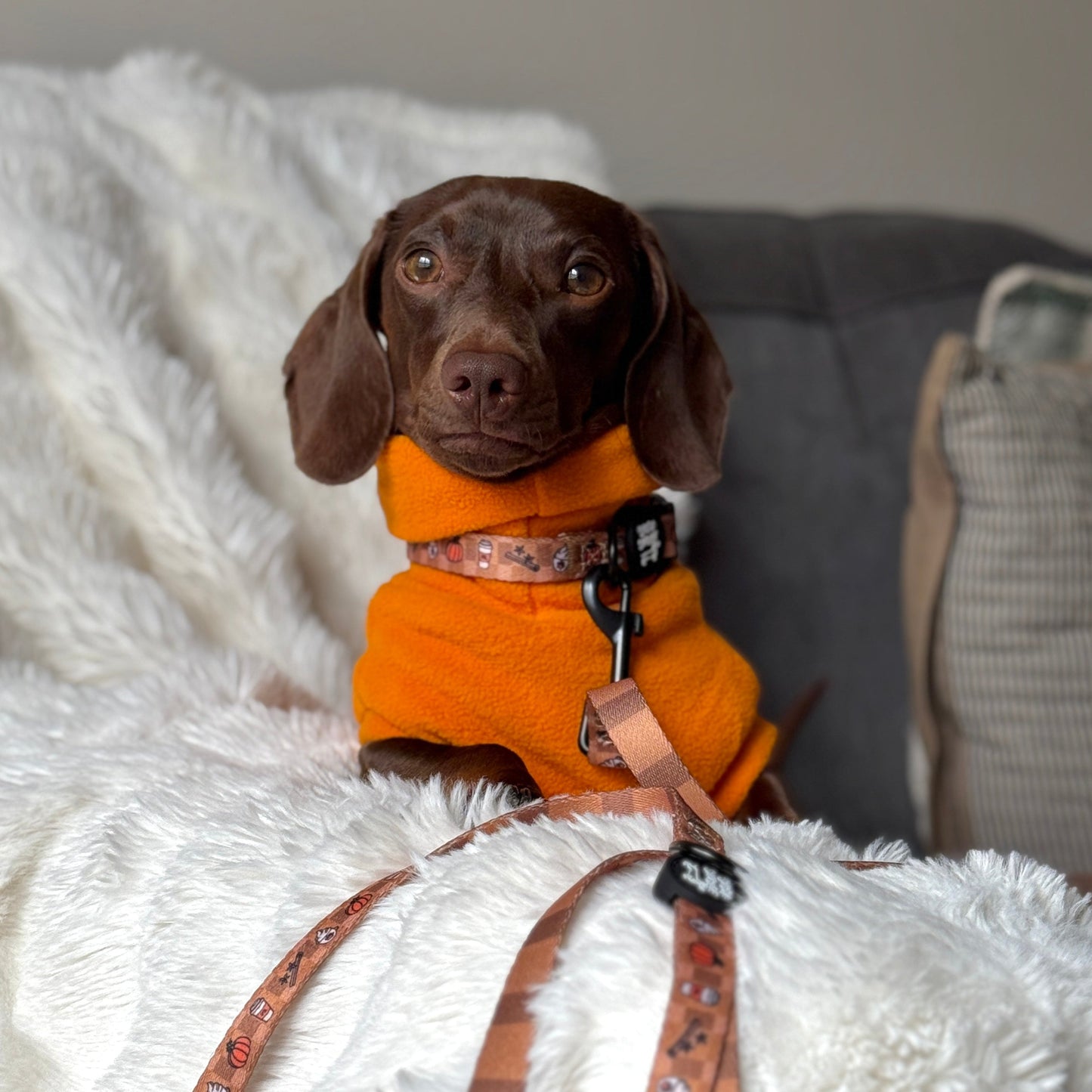 Limited Edition 'Pumpkin' Rollneck Jumper