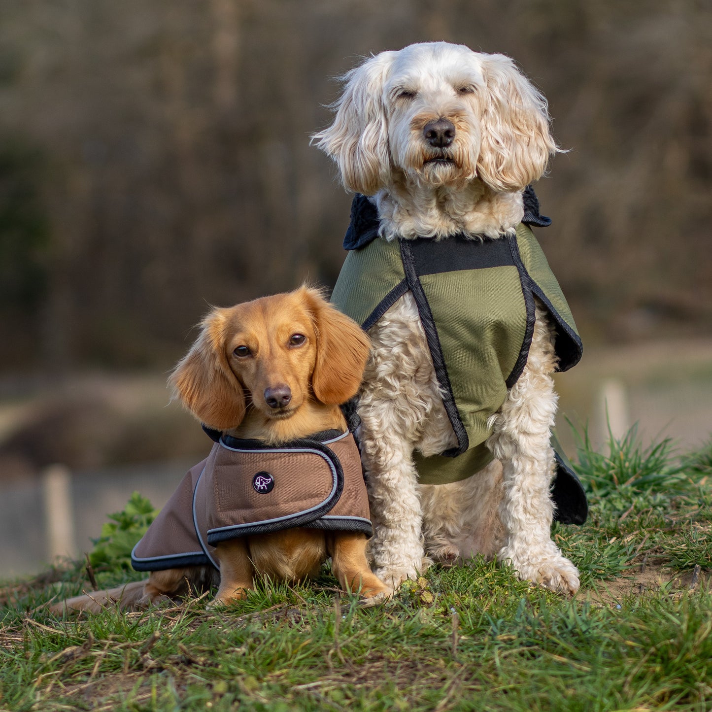 Essentials Jacket - All Breeds