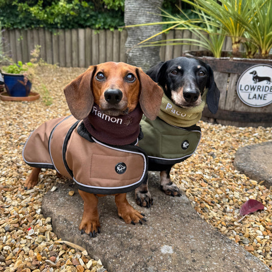 Dachshund Snoods