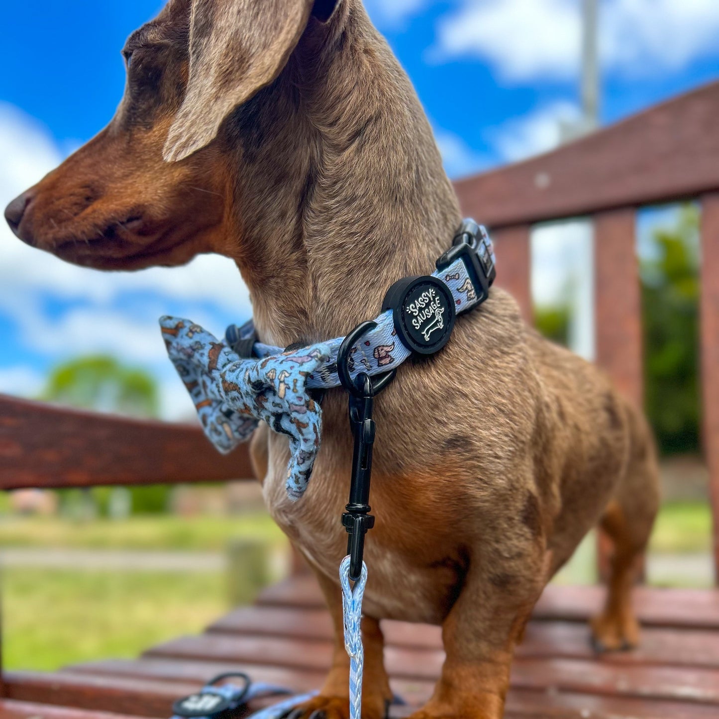 All About The Weens - Accessories