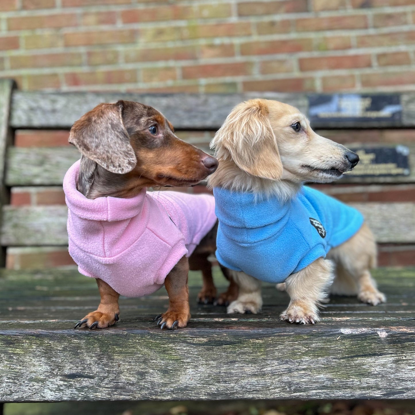 Limited Edition Valentine's Rollneck Jumper