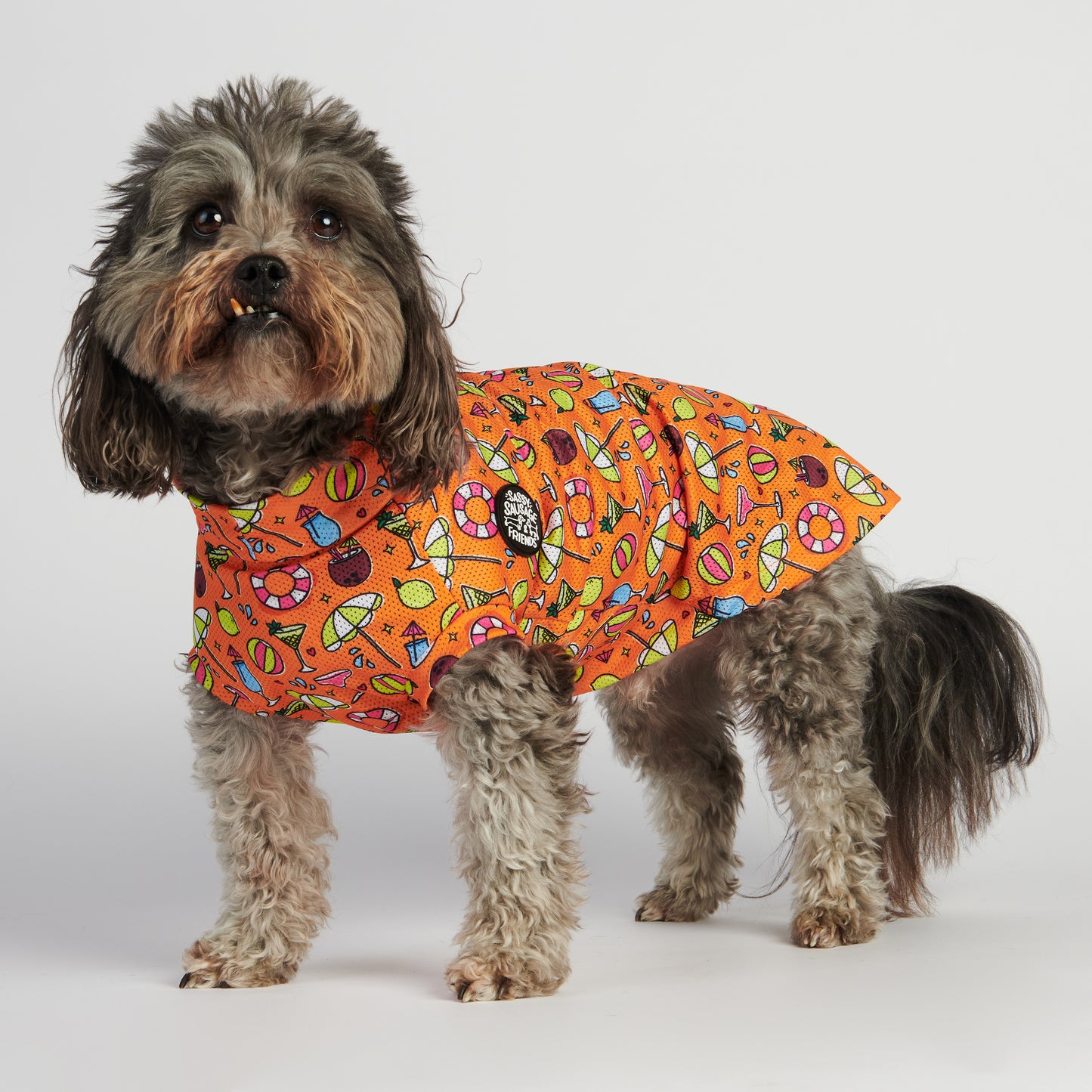 All Breed - Summer Cool Vests