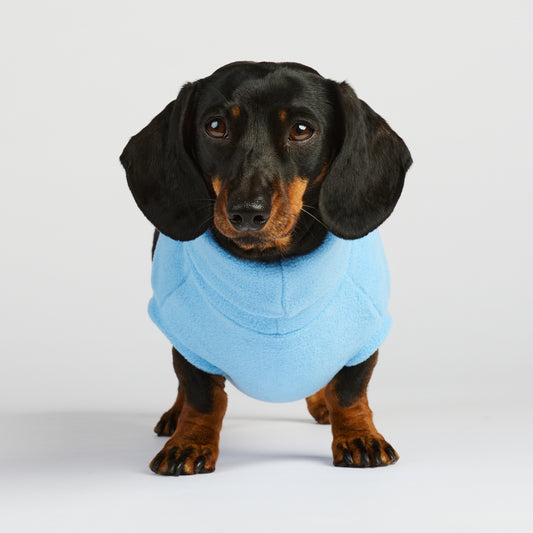 Baby Blue Roll-Neck (READ DESCRIPTION!)