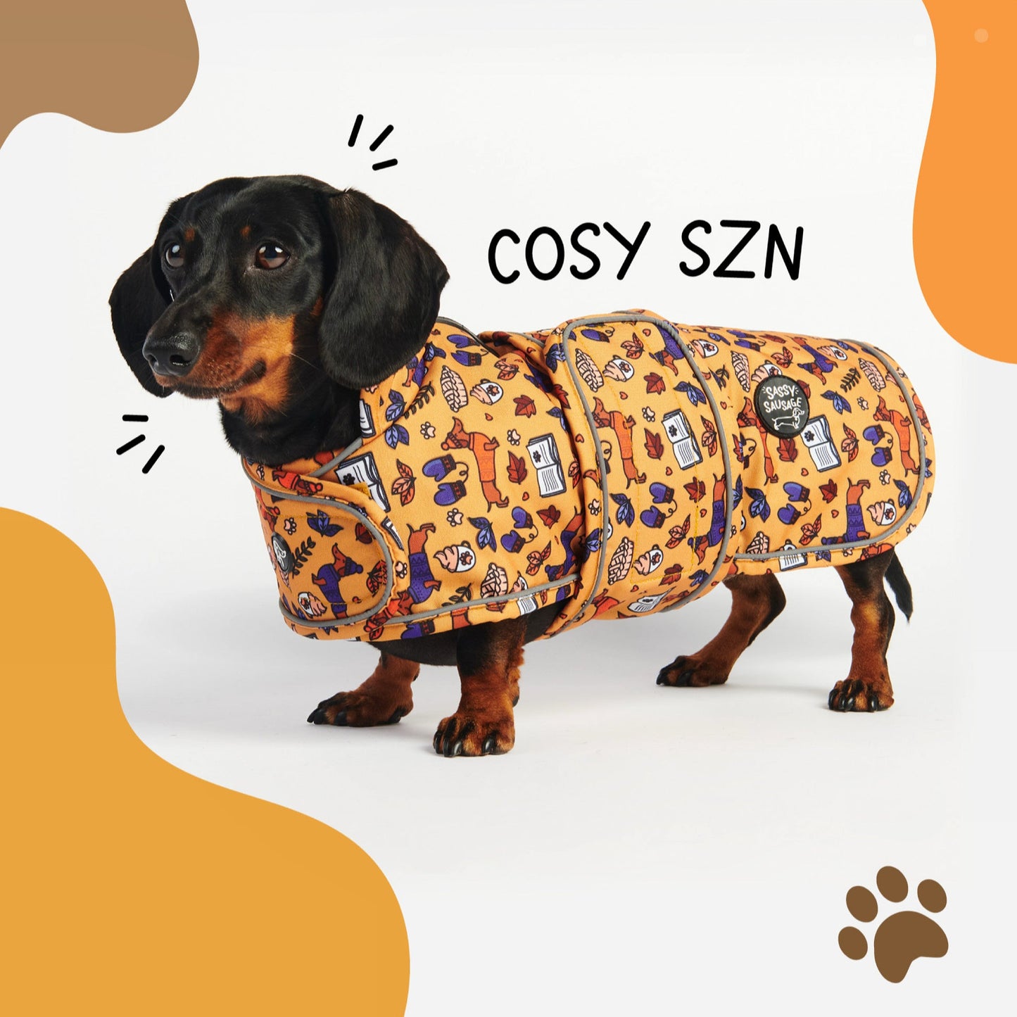 Autumn Dachshund Jacket's