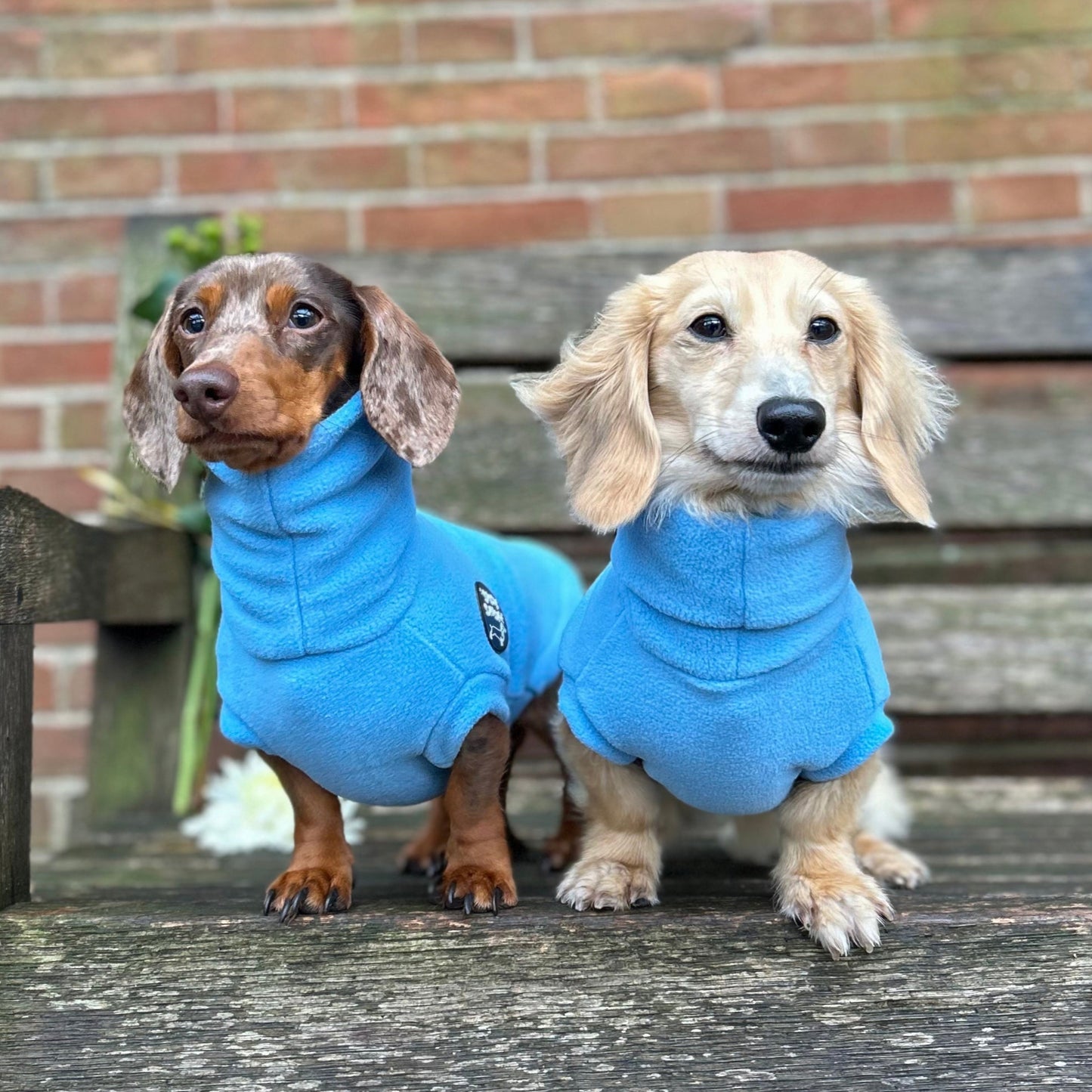 Baby Blue Roll-Neck (READ DESCRIPTION!)