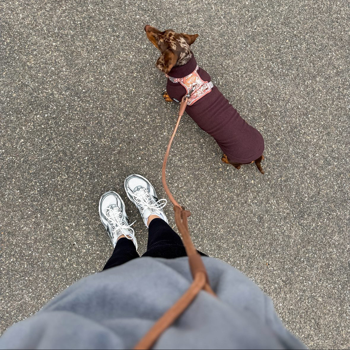 Ultimate Hands Free Lead