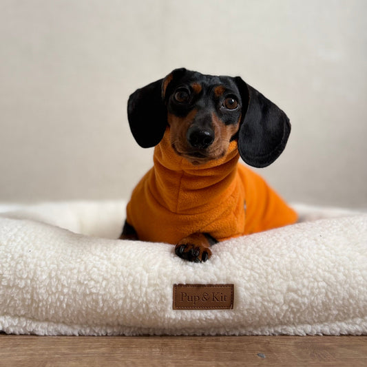 Limited Edition 'Pumpkin' Rollneck Jumper