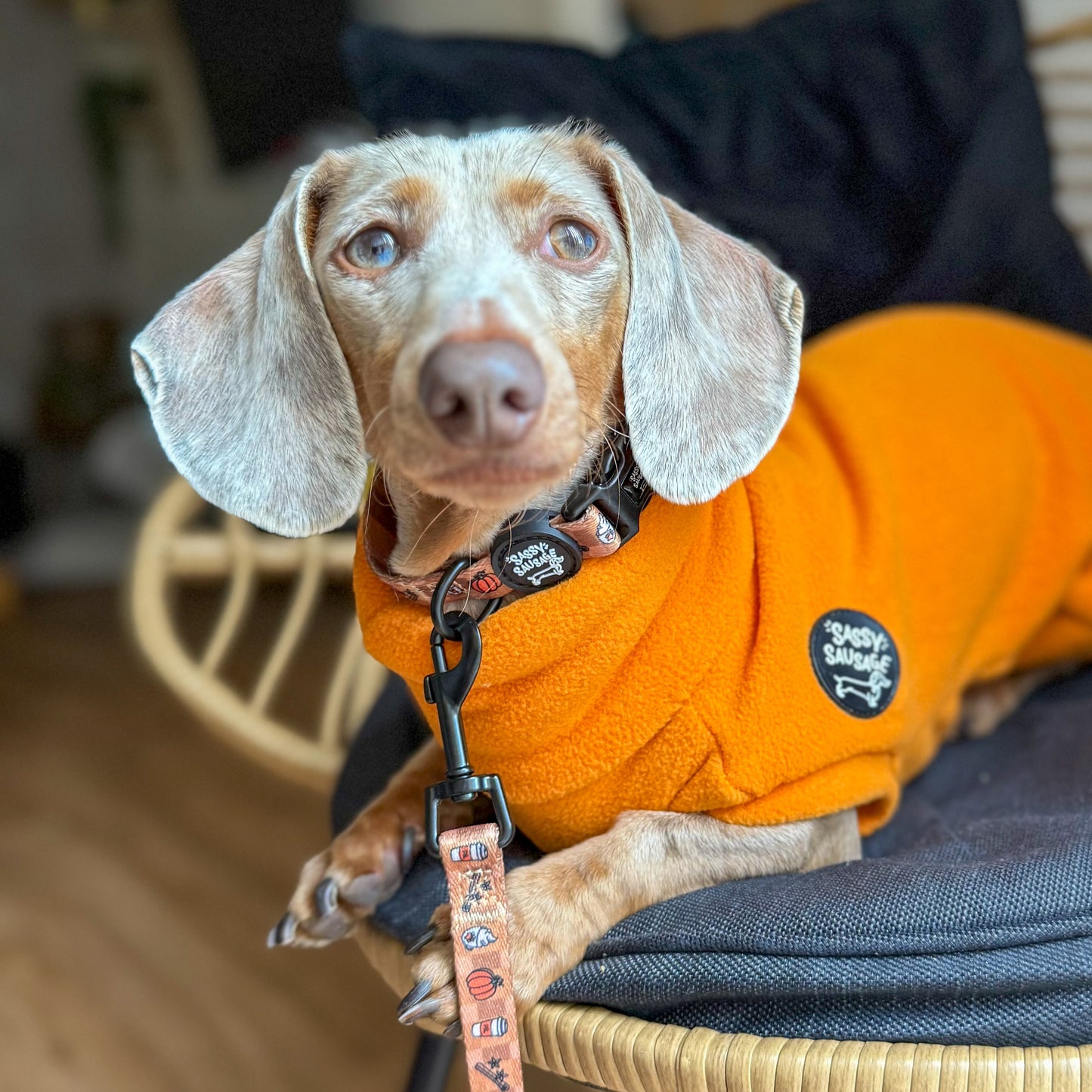 PSL - Accessories