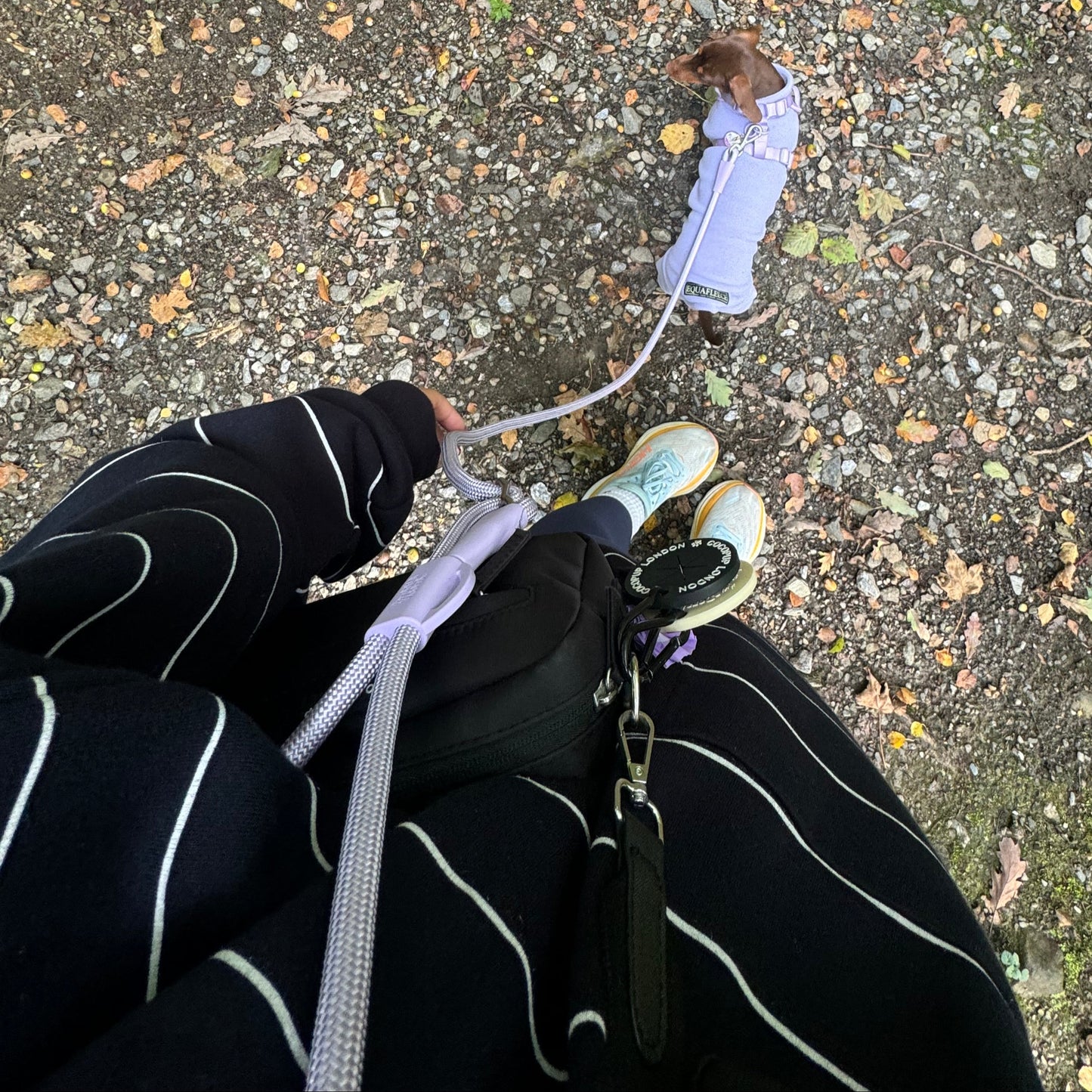 Ultimate Hands Free Lead