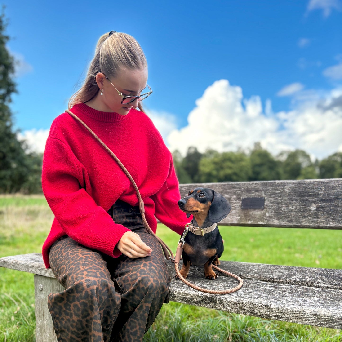 Ultimate Hands Free Lead