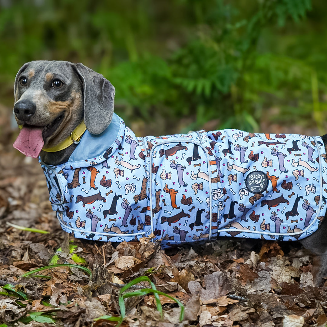All About The Weens - Dachshund Jacket🌭