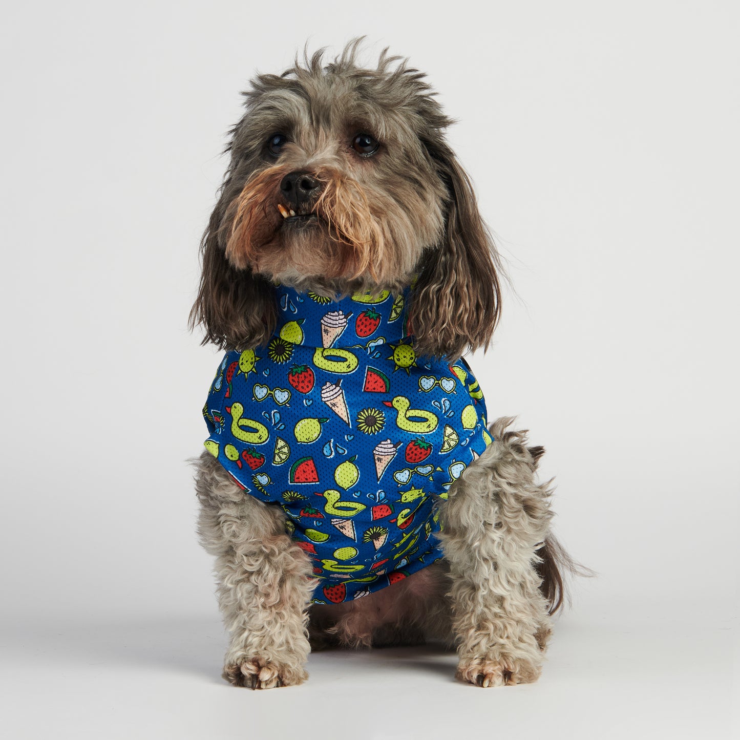 All Breed - Summer Cool Vests