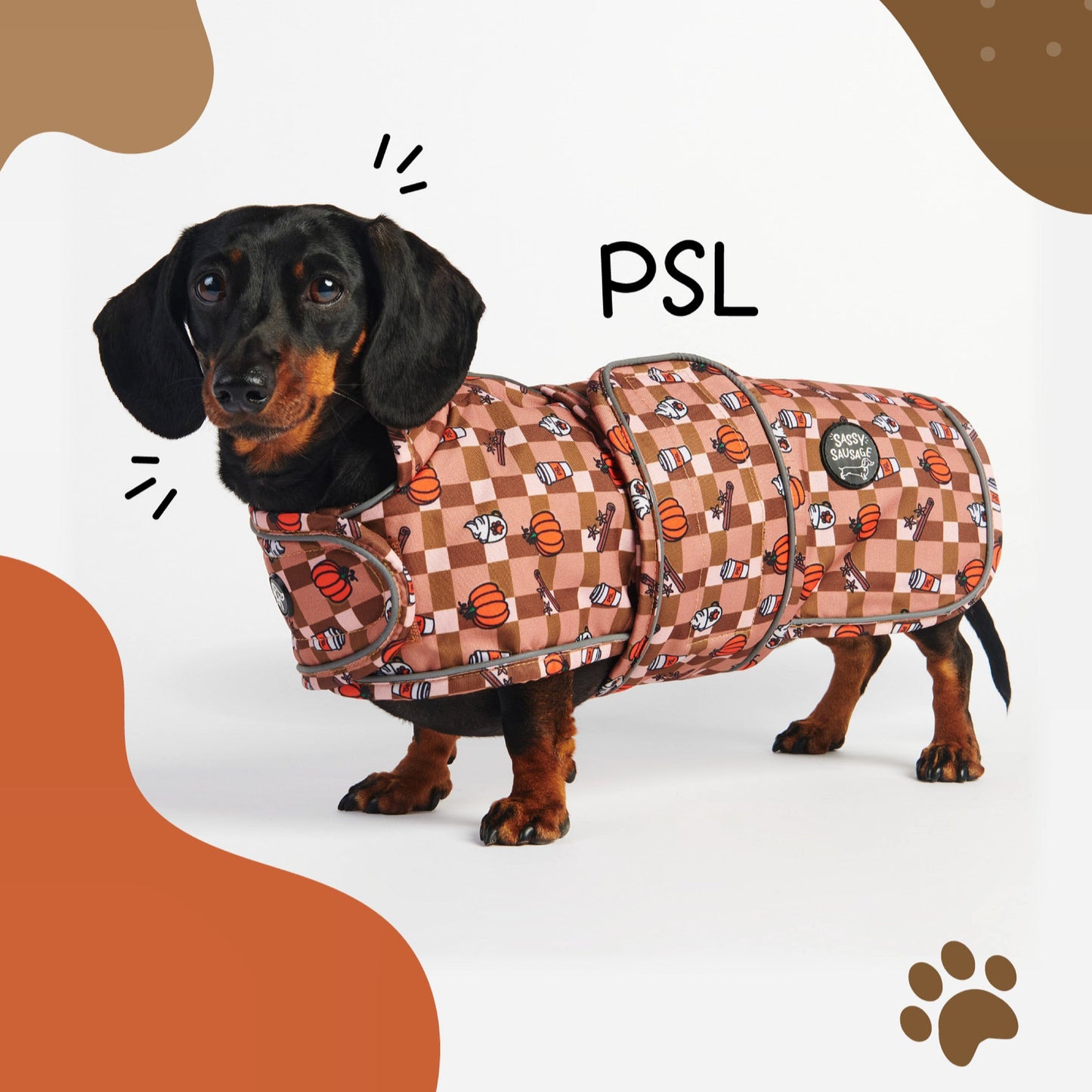 Autumn Dachshund Jacket's