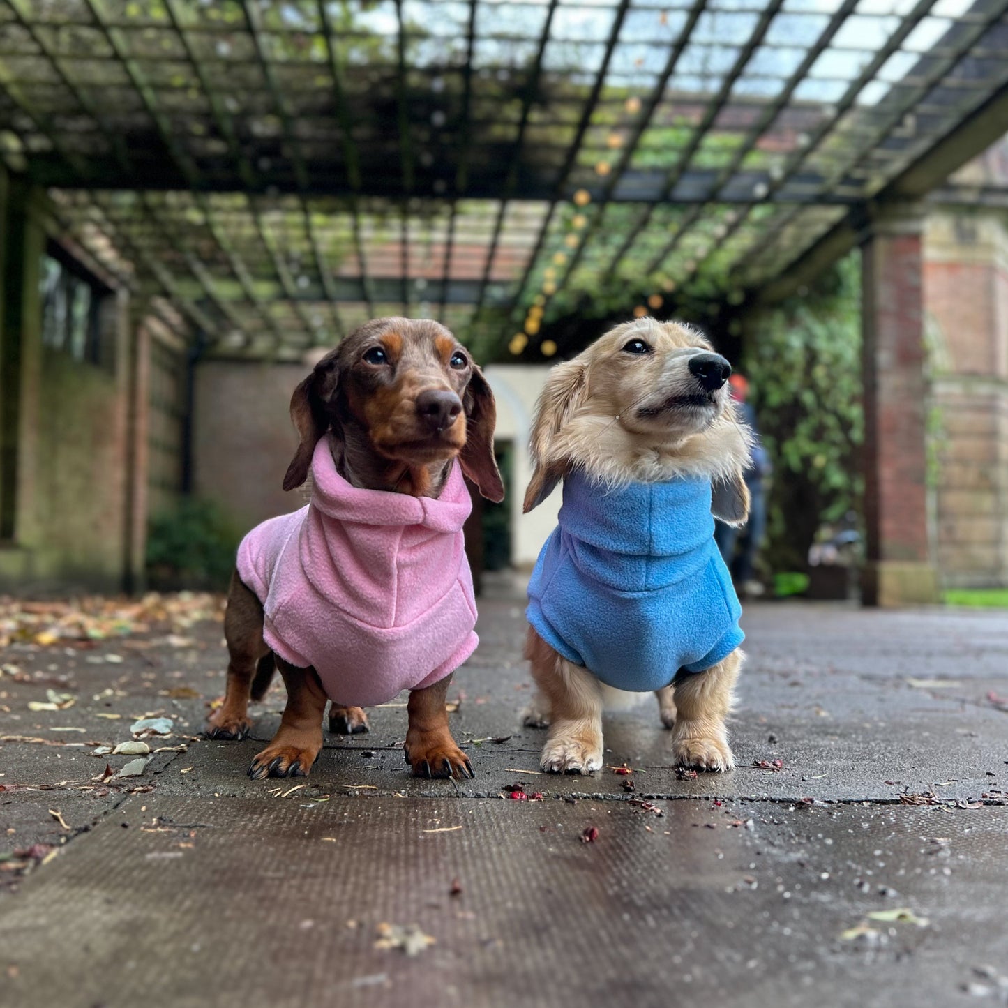 Limited Edition Valentine's Rollneck Jumper