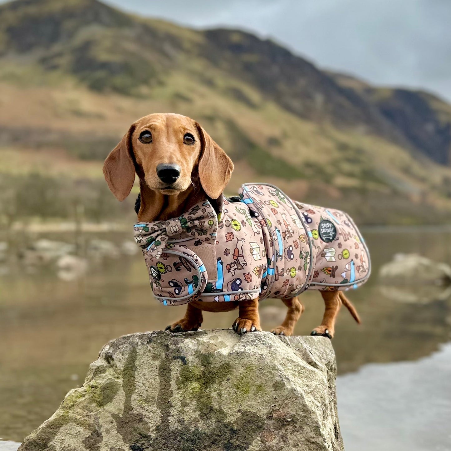 Adventure Awaits Bow Tie