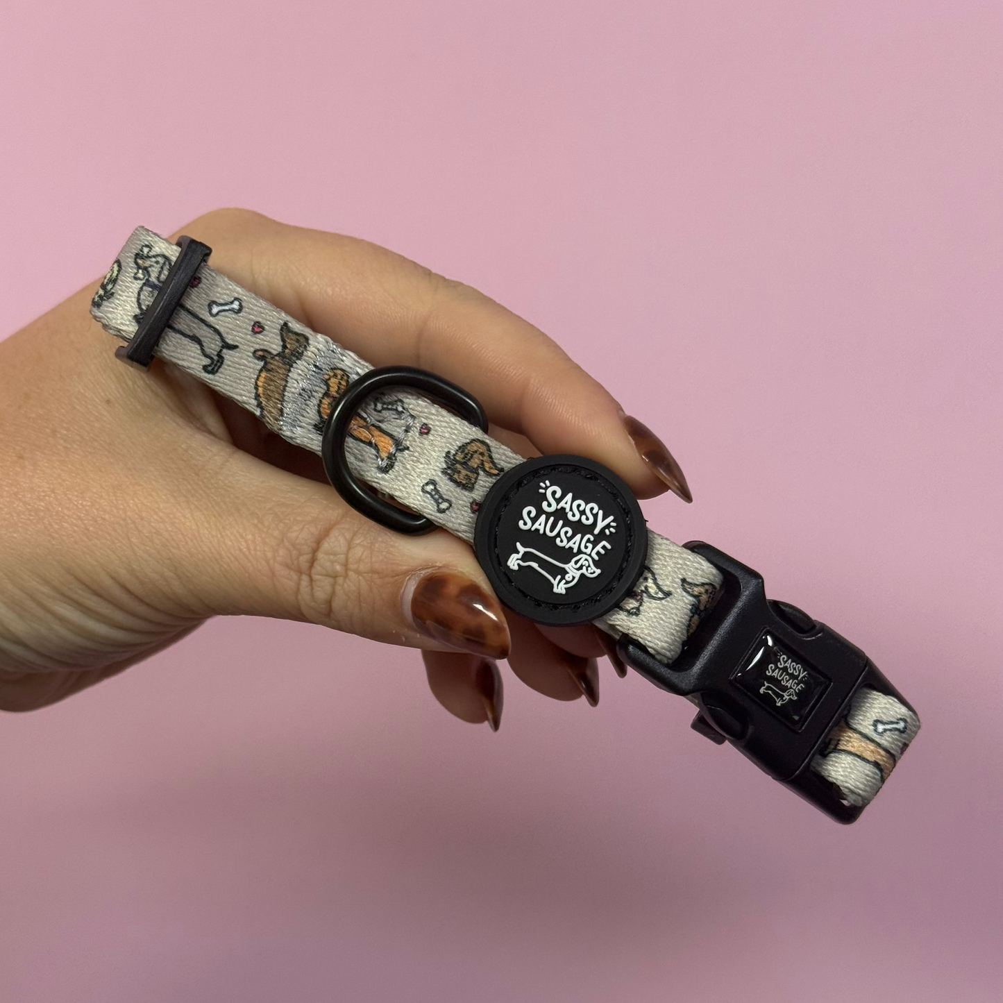 All About The Weens - Accessories