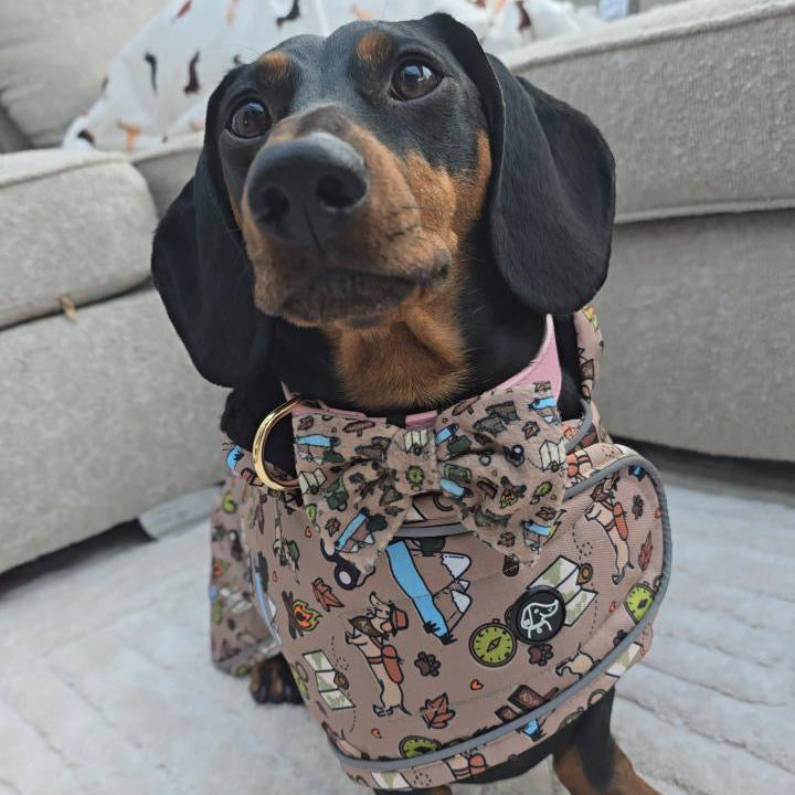 Adventure Awaits Bow Tie