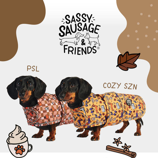 Autumn Dachshund Jacket's