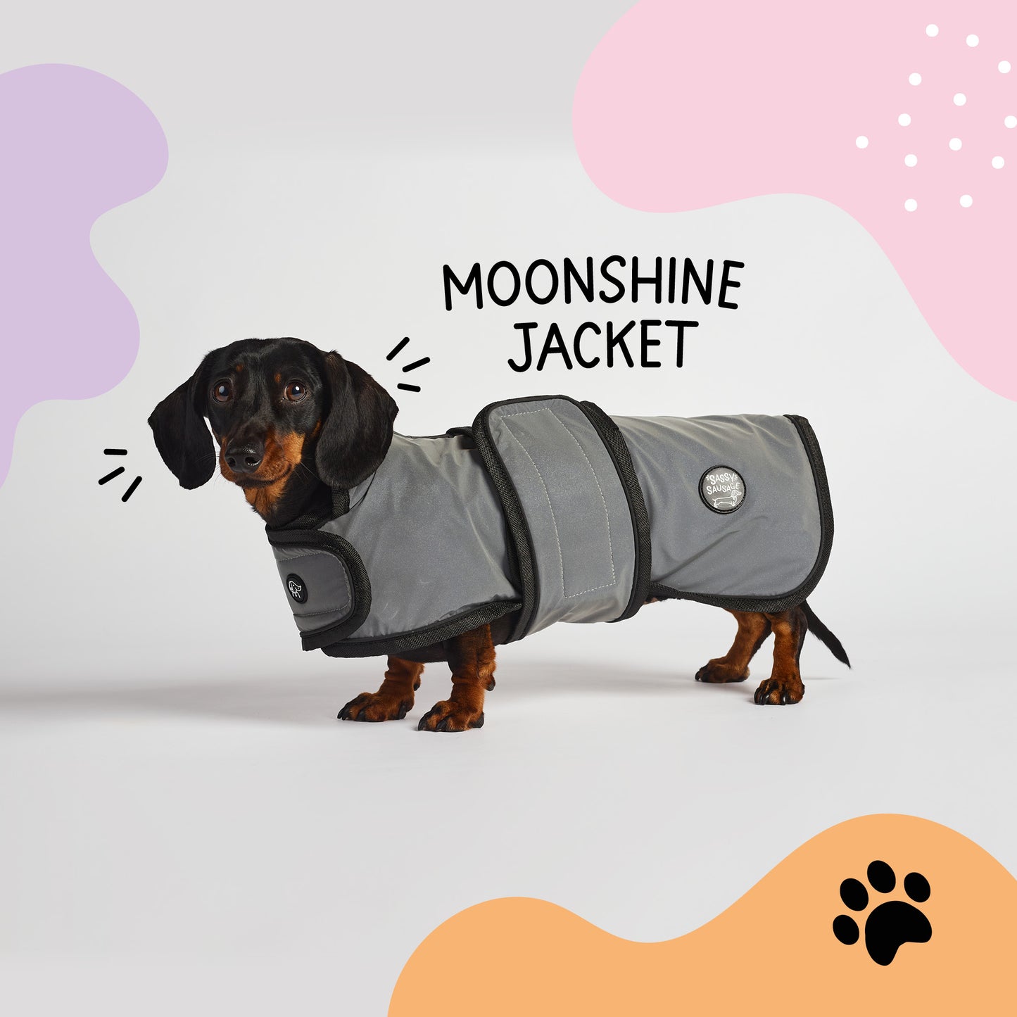 Moonshine Jacket - Dachshund
