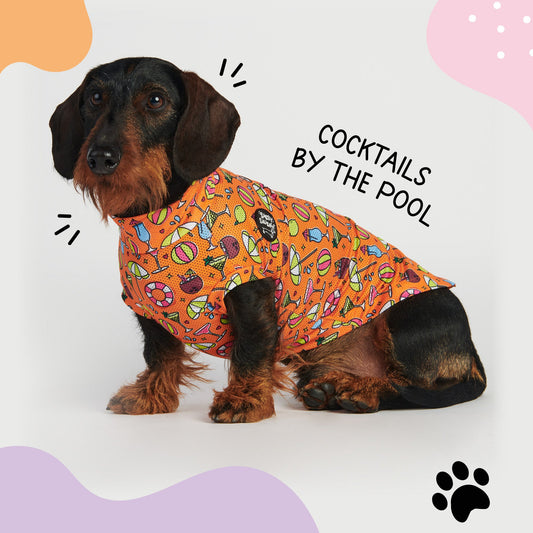Dachshund - Summer Cool Vests