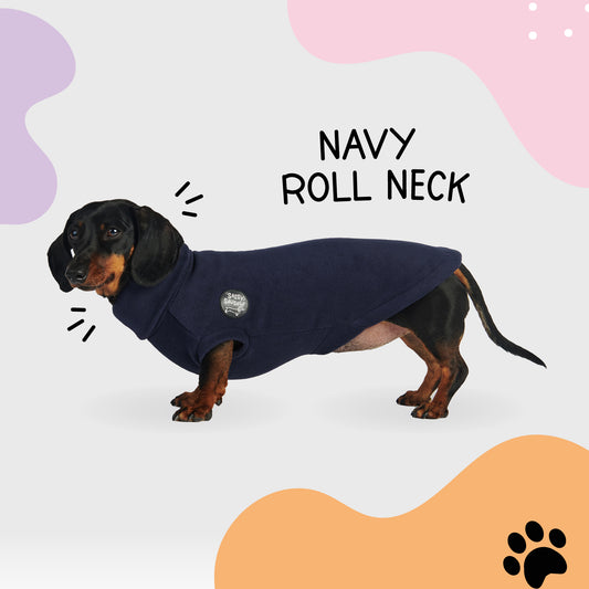 Essentials Rollneck Jumper - Dachshund