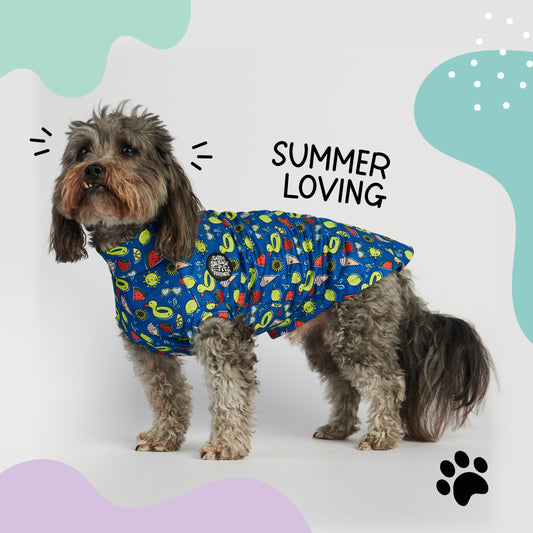 All Breed - Summer Cool Vests