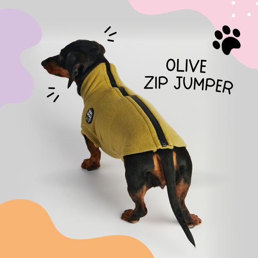 Essentials Zip Jumper