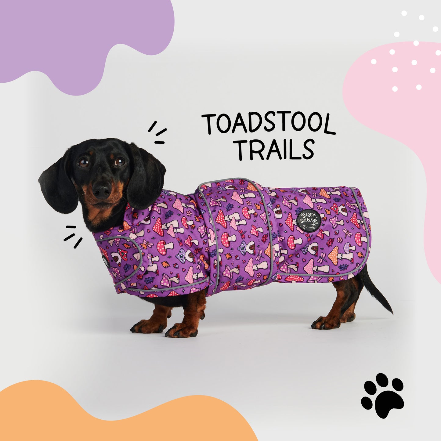 Toadstool Trails - Dachshund Jacket