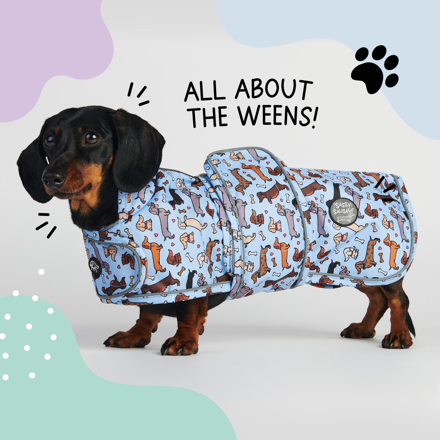 All About The Weens - Dachshund Jacket🌭