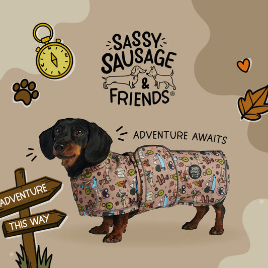 Adventure Awaits - Dachshund Jacket
