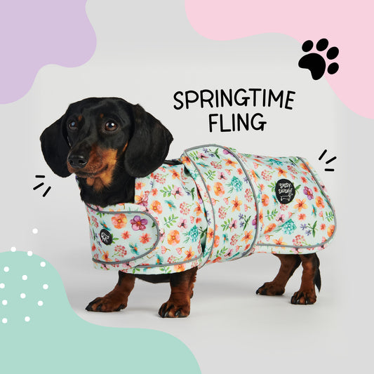 Springtime Fling - Dachshund Jacket