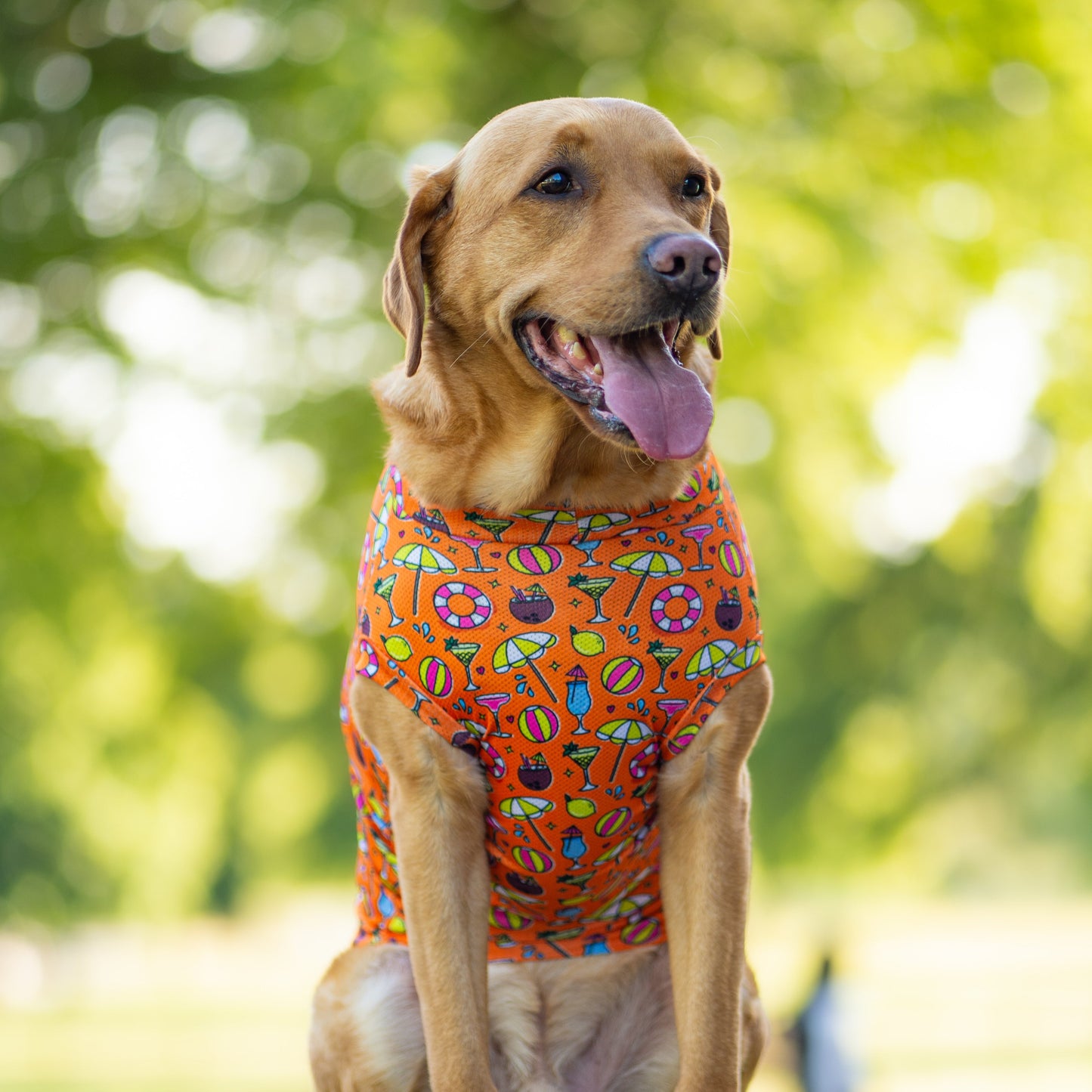 All Breed - Summer Cool Vests
