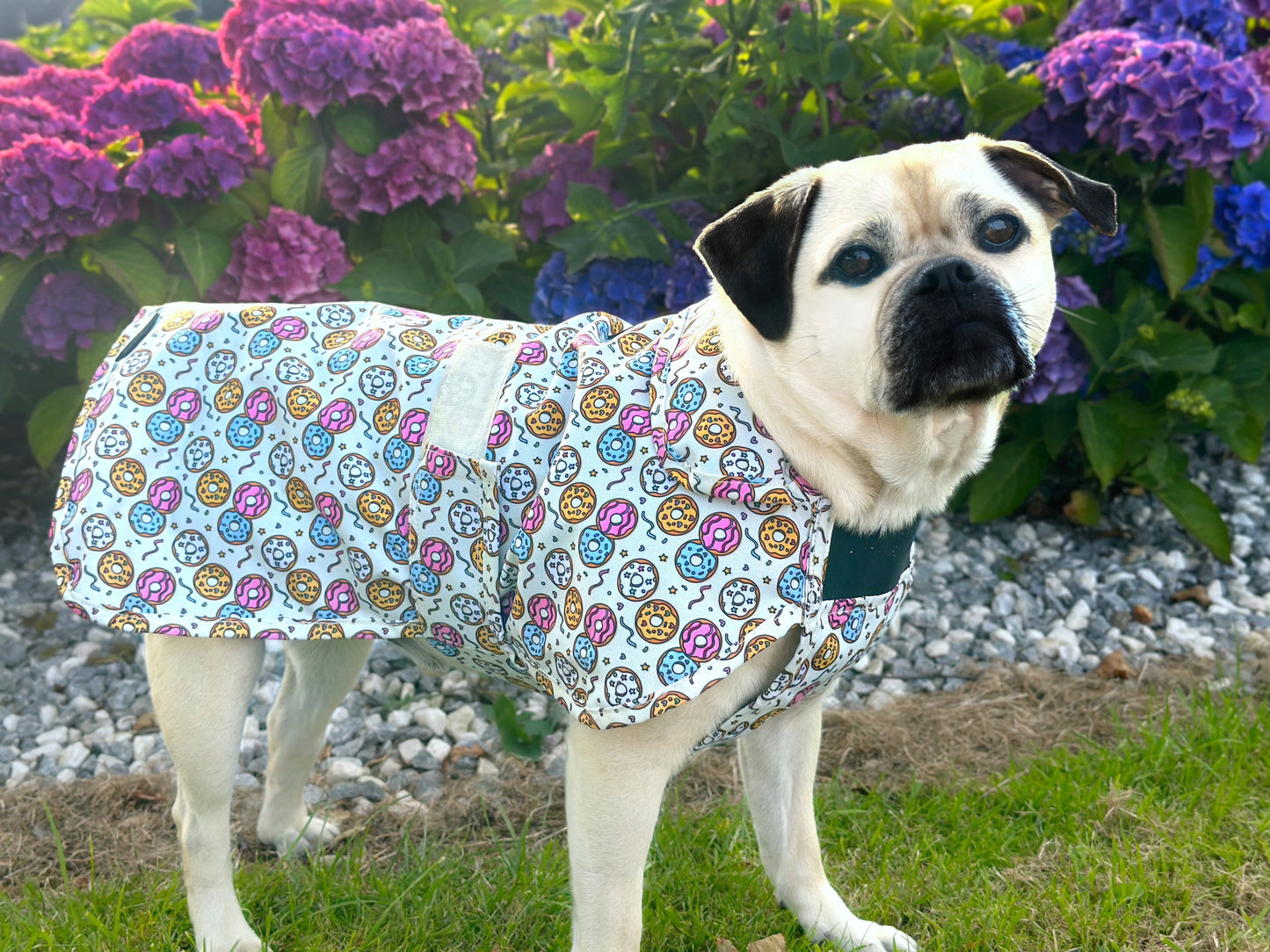 Donut - All Breeds Jacket