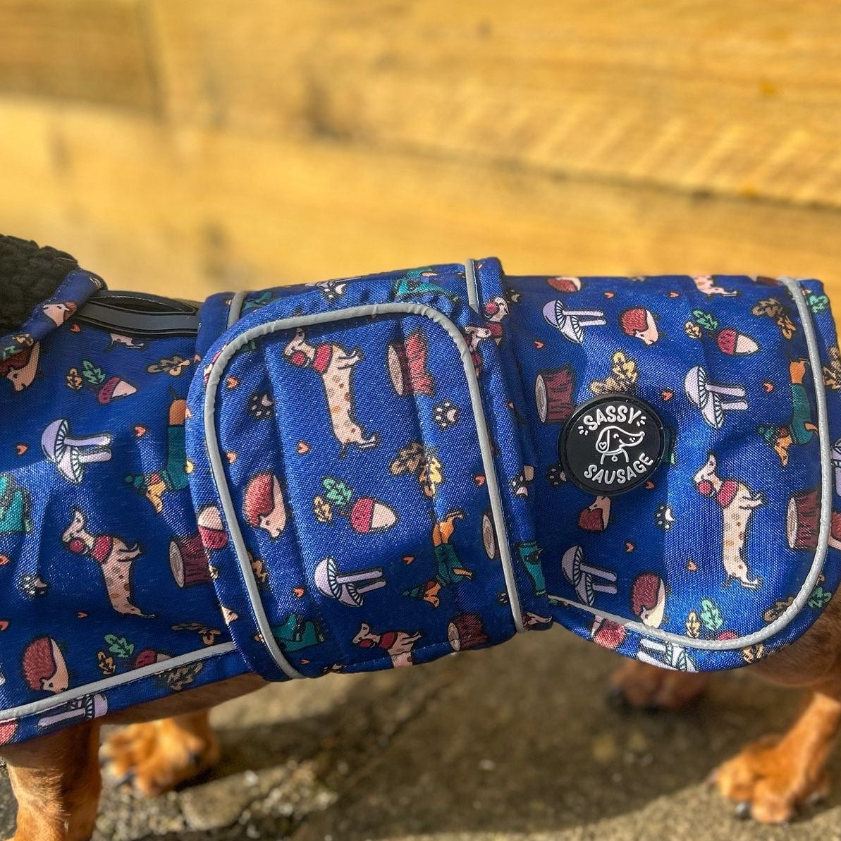 A dachshund wearing a blue patterned dog coat with white trim, standing on a stone surface against a wooden wall. The coat features a colorful print of dachshunds, footballs, and small illustrations, with a black circular patch reading 'DASHING DOG COAT'.