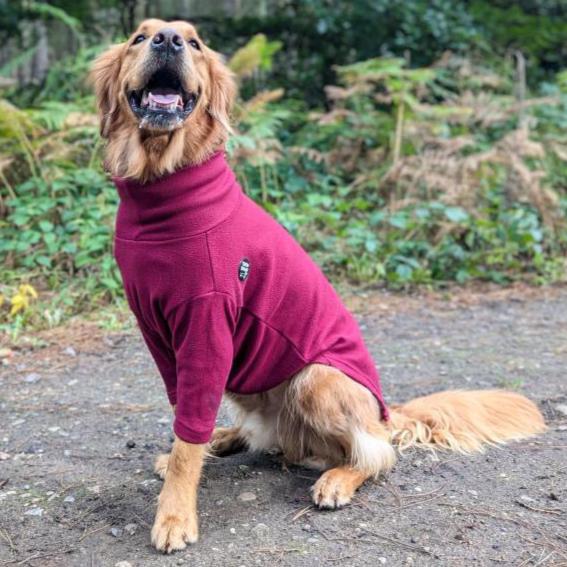 Essentials Rollneck Jumper - All Breeds