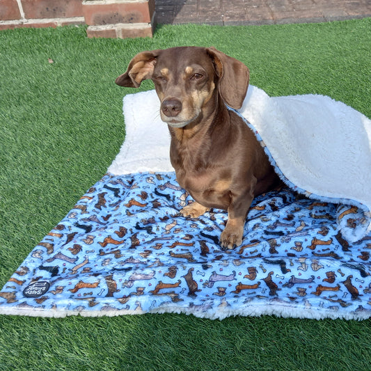 All About The Weens - Dog Blanket