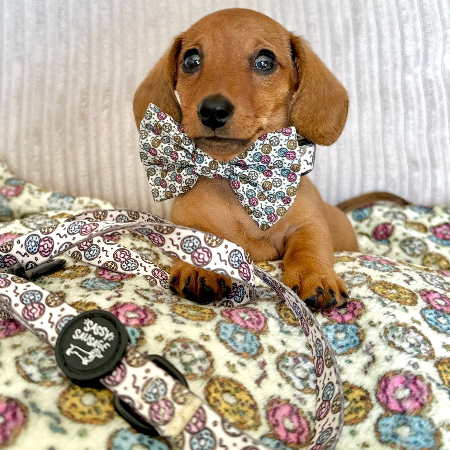 Dachshund Lead