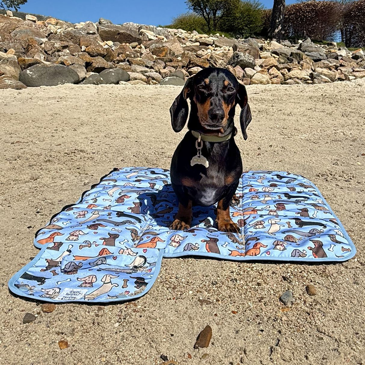 Sassy Sausage x Taylor & Floof Settle Mat