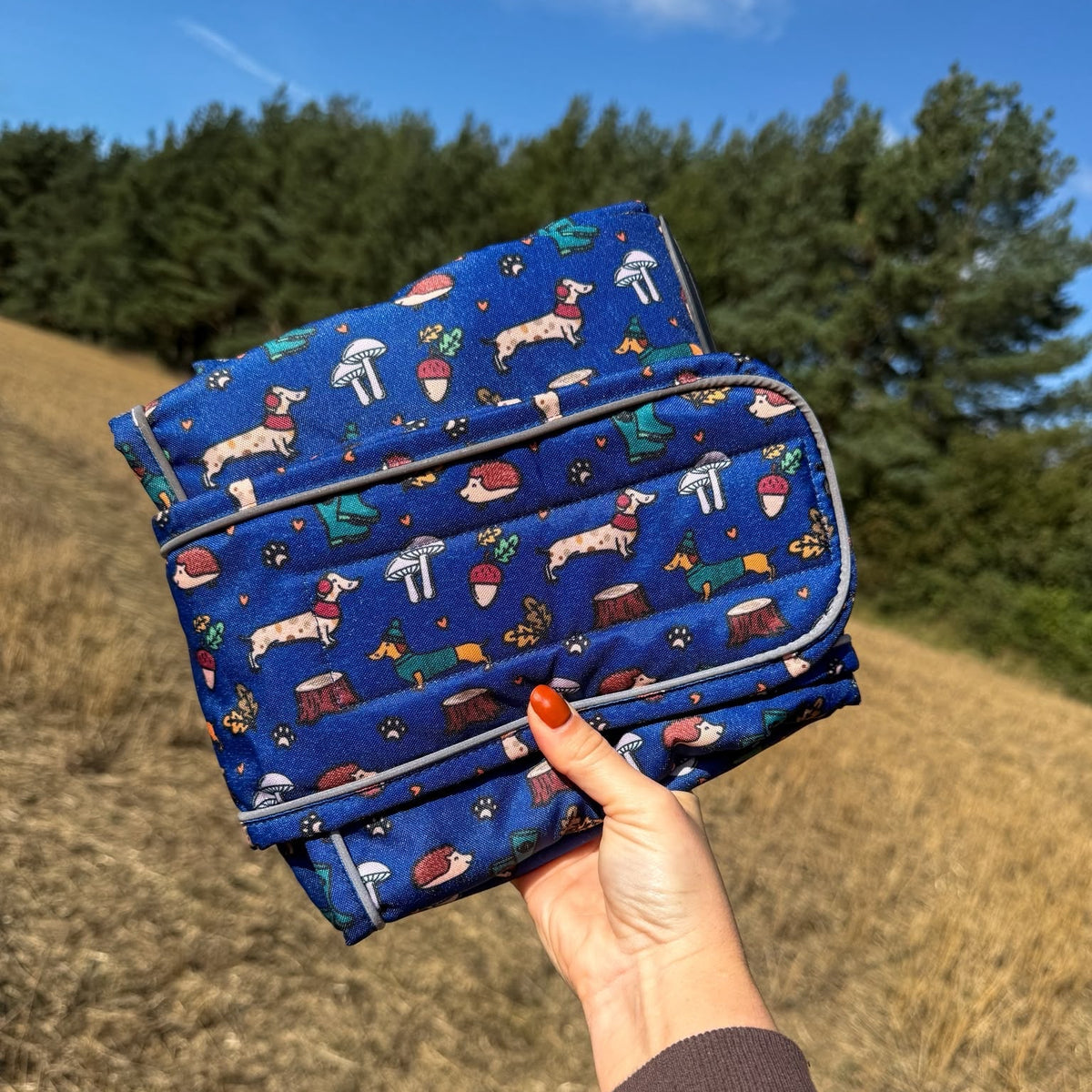 A hand holding a blue patterned fabric pouch outdoors against a background of dry grass, trees, and blue sky. The pouch has a whimsical print of dachshunds, acorns, mushrooms, and trees on a royal blue background.