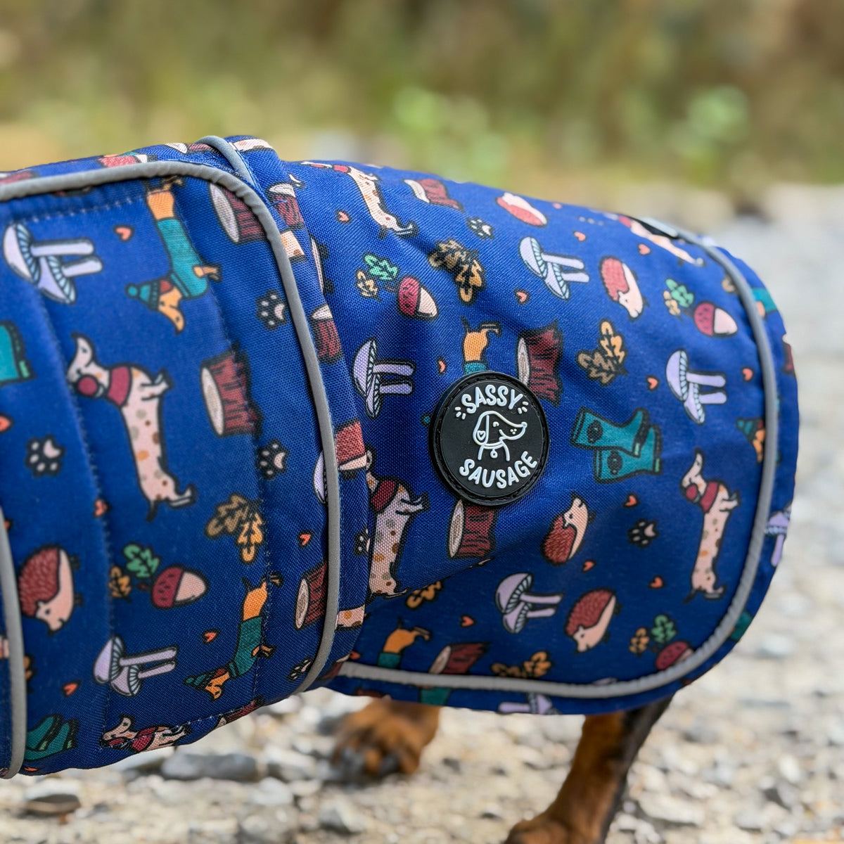 A close-up of a dog wearing a blue insulated dog coat with a colorful cartoon pattern, standing on a gravel path outdoors.