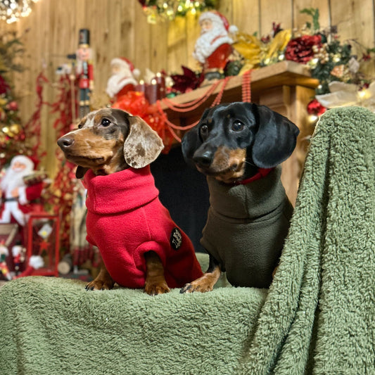 Limited Edition 'Festive' Rollneck Jumper