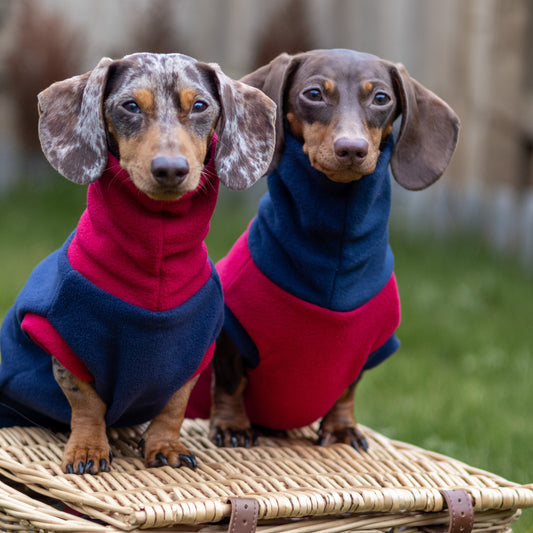 Valentines Limited Edition Rollneck Jumper
