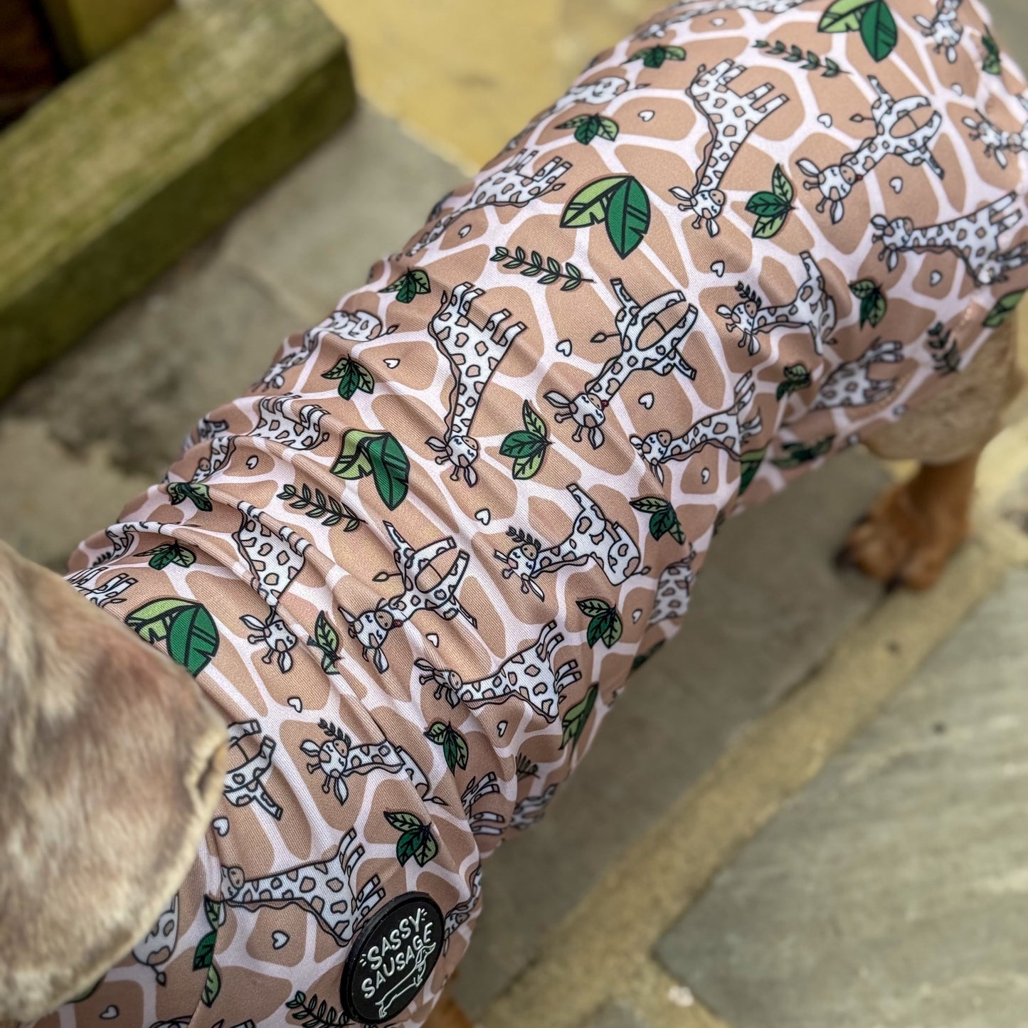 Dog wearing a patterned dog coat on a stone floor.