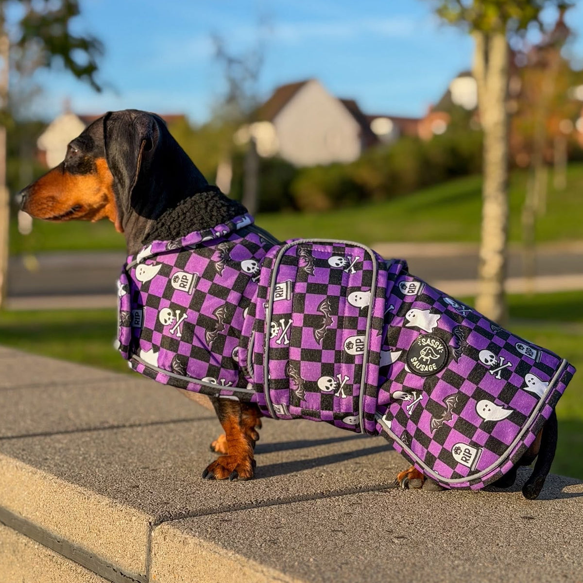 Spooky Sausage